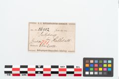 Etikett zu Bronzebrillenfibel (NHMW-PRAE-026012)